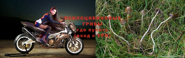 амф Абдулино