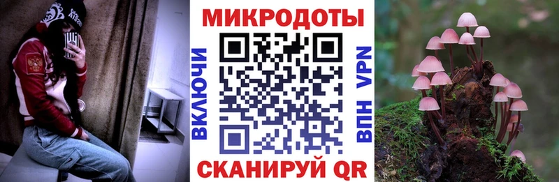 Галлюциногенные грибы Psilocybine cubensis  hydra ссылки  Зарайск 